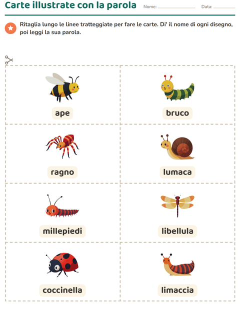 Anteprima della scheda di Carte illustrate con la parola con Insetti e scarafaggi per Scuola dell'infanzia (5-7 anni)