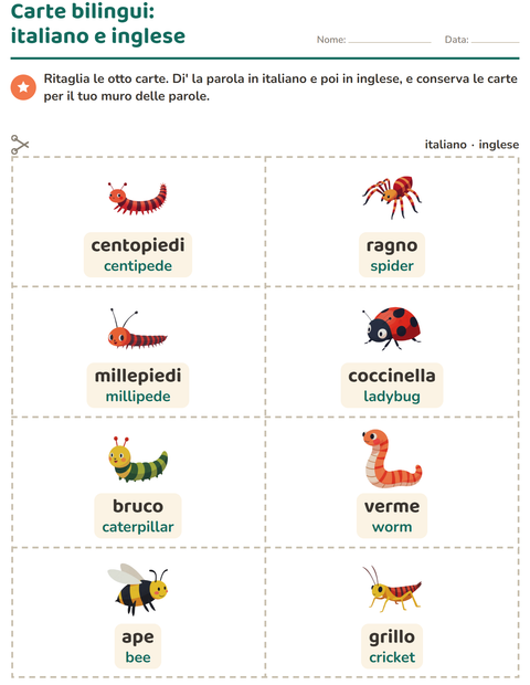 Anteprima della scheda di Carte illustrate con la parola con Insetti e scarafaggi per Scuola dell'infanzia (5-7 anni)