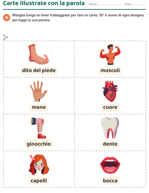 Anteprima della scheda di Carte illustrate con la parola con Parti del corpo per Scuola dell'infanzia (5-7 anni)