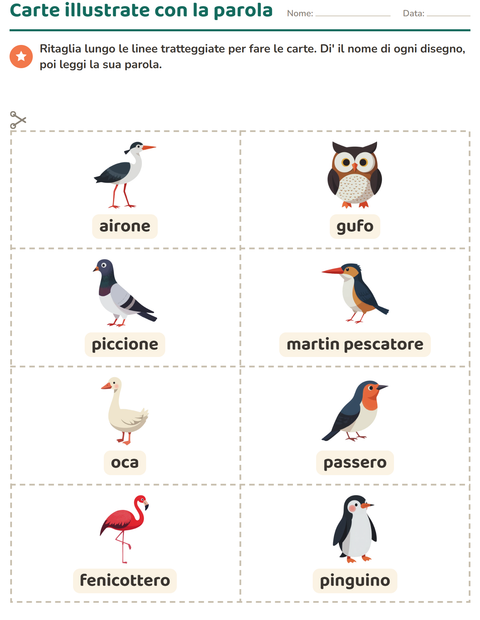 Anteprima della scheda di Carte illustrate con la parola con Uccelli 2 per Scuola dell'infanzia (5-7 anni)