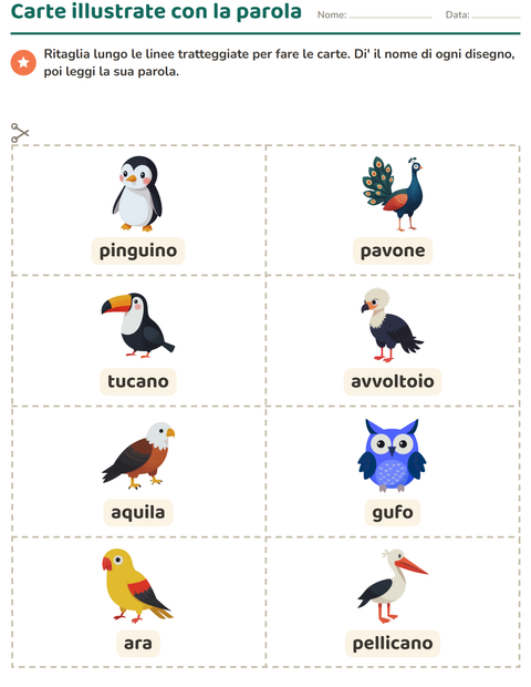 Anteprima della scheda di Carte illustrate con la parola con Uccelli per Scuola dell'infanzia (5-7 anni)