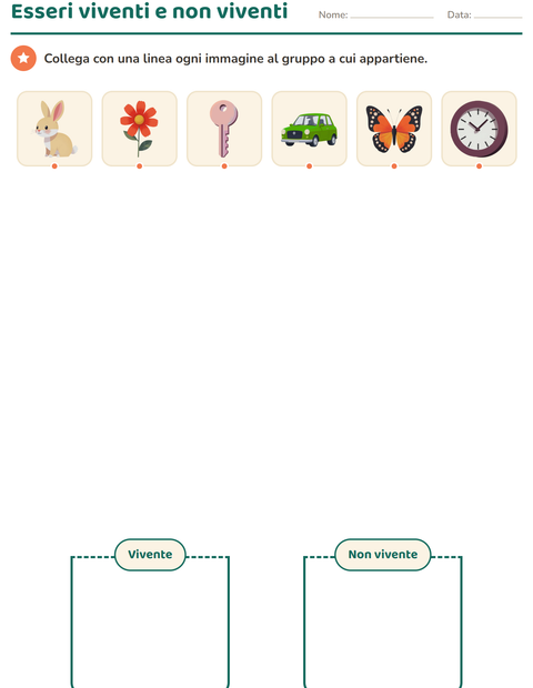 Anteprima della scheda di Classifichiamo le scienze per Scuola dell'infanzia (5-7 anni)