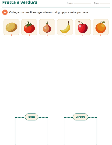 Anteprima della scheda di Classifichiamo le scienze per Scuola dell'infanzia (5-7 anni)