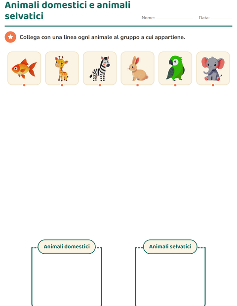 Anteprima della scheda di Classifichiamo le scienze per Scuola dell'infanzia (5-7 anni)