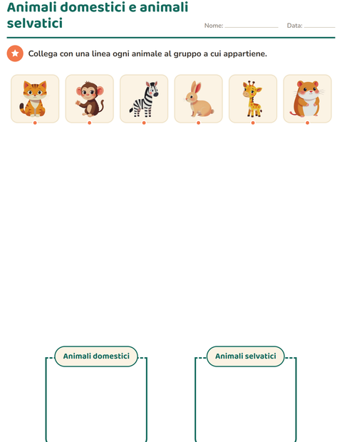 Anteprima della scheda di Classifichiamo le scienze per Scuola dell'infanzia (5-7 anni)