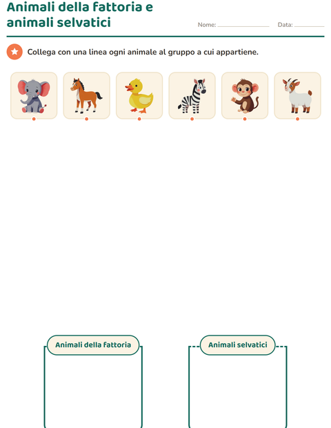 Anteprima della scheda di Classifichiamo le scienze per Scuola dell'infanzia (5-7 anni)
