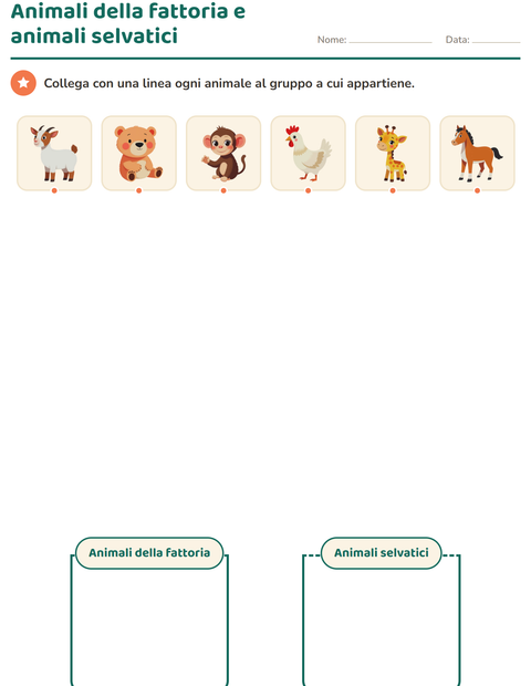 Anteprima della scheda di Classifichiamo le scienze per Scuola dell'infanzia (5-7 anni)