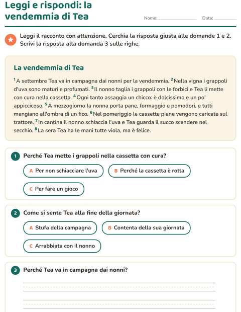 Anteprima della scheda di Comprensione del testo per Scuola primaria classe seconda
