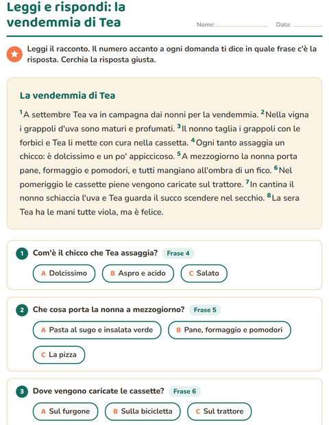 Anteprima della scheda di Comprensione del testo per Scuola primaria classe seconda