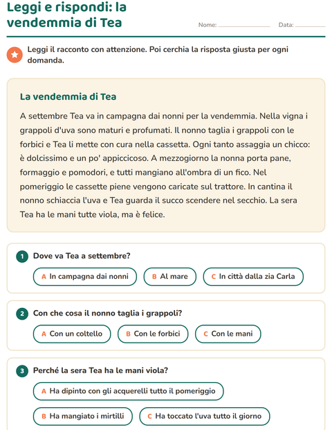 Anteprima della scheda di Comprensione del testo per Scuola primaria classe seconda