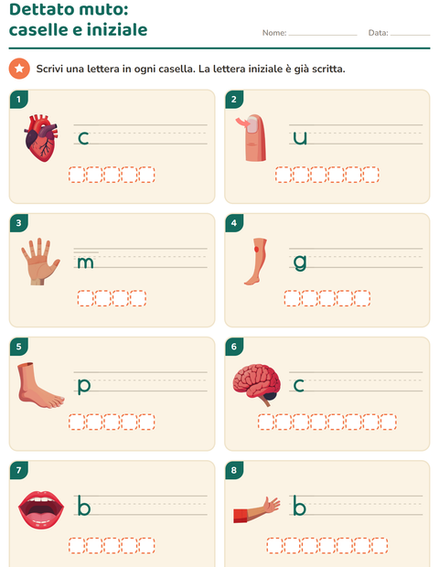 Anteprima della scheda di Dettato muto con Parti del corpo per Scuola primaria classe prima