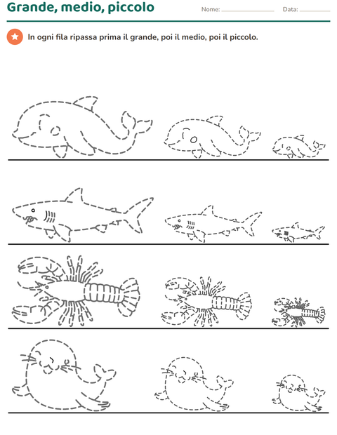 Anteprima della scheda di Disegni tratteggiati per Scuola dell'infanzia (5-7 anni)