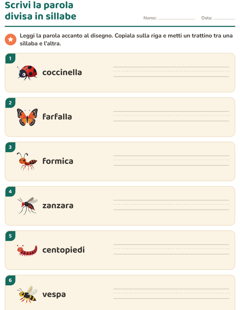 Anteprima della scheda di Divisione in sillabe con Insetti e scarafaggi per Scuola primaria classe prima