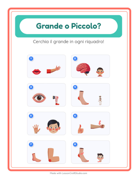 Anteprima della scheda di Grande O Piccolo con Parti del corpo per Scuola dell'infanzia (3-5 anni)