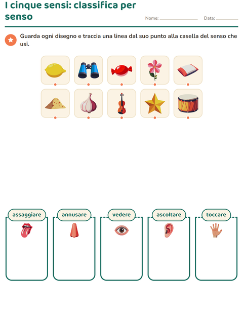 I cinque sensi: classifica dieci cose per senso