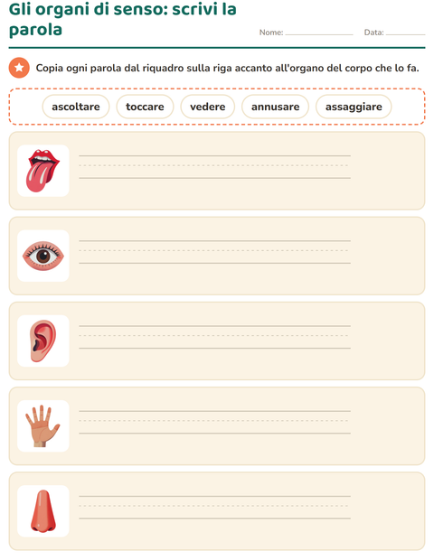 Gli organi di senso: scrivi il verbo accanto all'organo
