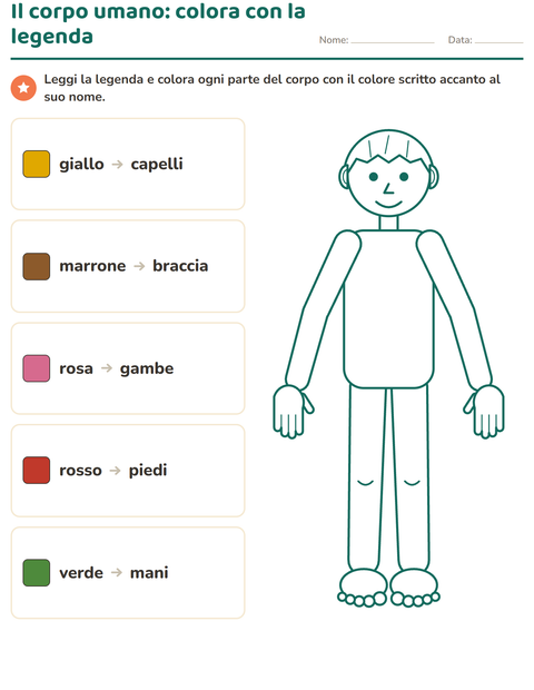 Anteprima di Il corpo umano: colora seguendo la legenda
