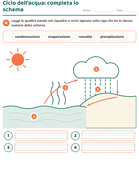 Il ciclo dell'acqua: completa lo schema con quattro parole