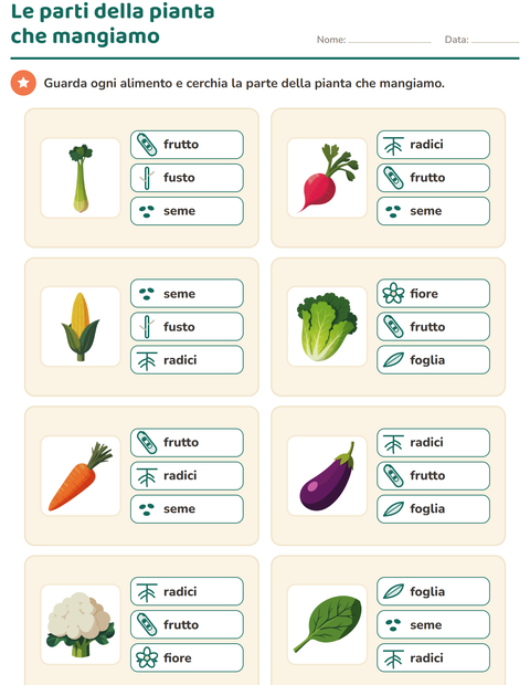 Le parti della pianta che mangiamo: radice, fusto, foglia o fiore?