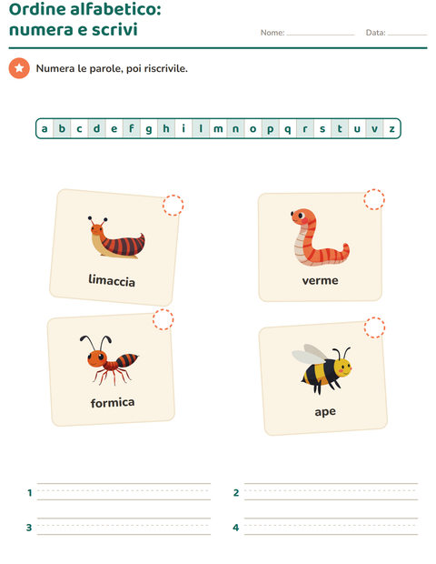 Anteprima della scheda di Ordine alfabetico con Insetti e scarafaggi per Scuola primaria classe prima