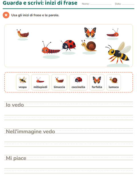 Anteprima della scheda di Produzione scritta con Insetti e scarafaggi per Scuola primaria classe seconda