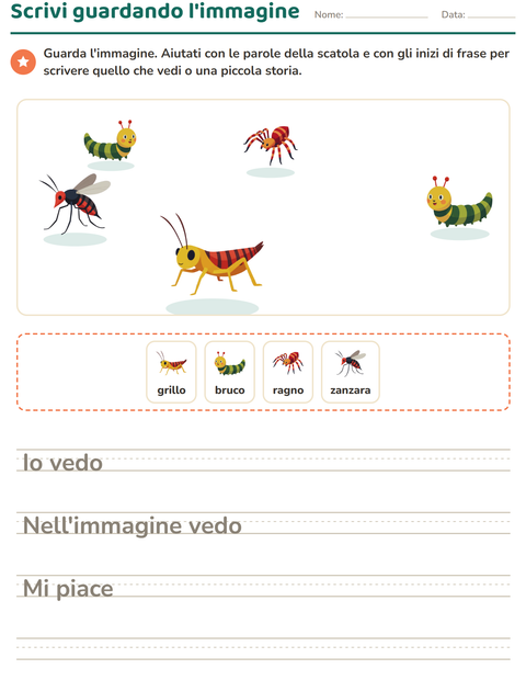 Anteprima della scheda di Produzione scritta con Insetti e scarafaggi per Scuola primaria classe seconda