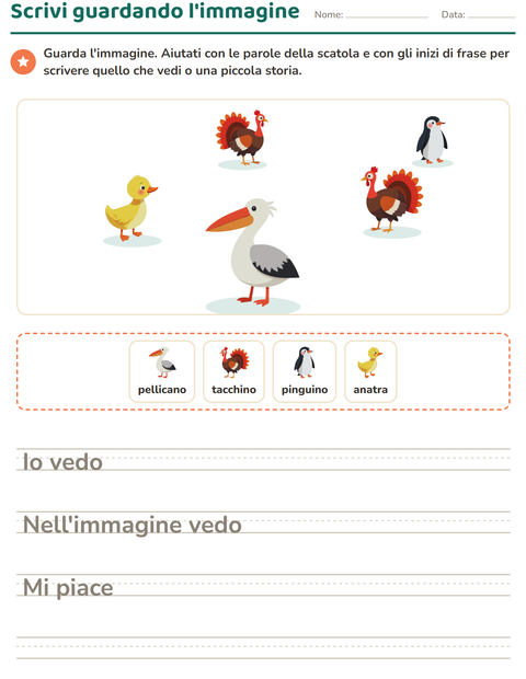 Anteprima della scheda di Produzione scritta con Uccelli 2 per Scuola primaria classe seconda