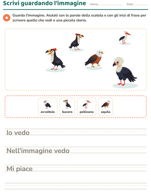 Anteprima della scheda di Produzione scritta con Uccelli per Scuola primaria classe seconda