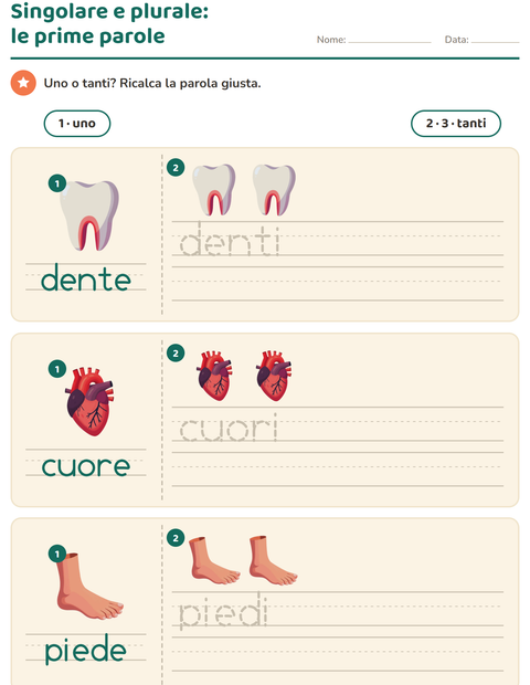 Anteprima della scheda di Singolare e plurale con Parti del corpo per Scuola dell'infanzia (5-7 anni)