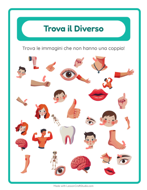 Anteprima della scheda di Trova Gli Oggetti con Parti del corpo per Scuola dell'infanzia (5-7 anni)