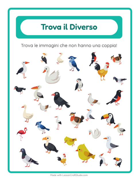 Anteprima della scheda di Trova Gli Oggetti con Uccelli 2 per Scuola dell'infanzia (5-7 anni)