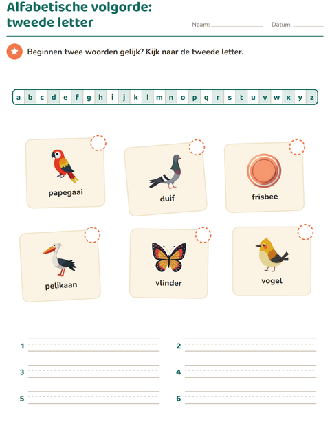 Voorbeeld van het Alfabetische volgorde-werkblad met Dingen die vliegen voor groep 3