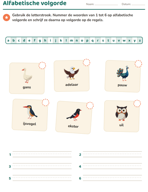 Voorbeeld van het Alfabetische volgorde-werkblad met Vogels 2 voor groep 3