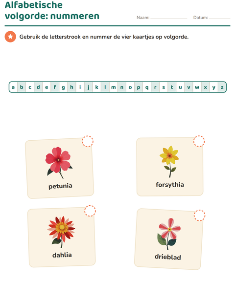 Voorbeeld van het Alfabetische volgorde-werkblad met Bloemen voor groep 3