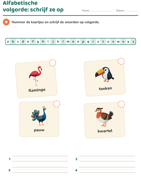 Voorbeeld van het Alfabetische volgorde-werkblad met Vogels 2 voor groep 3