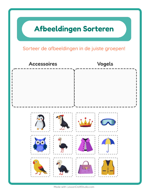 Plaatjes sorteren: Accessoires en Vogels