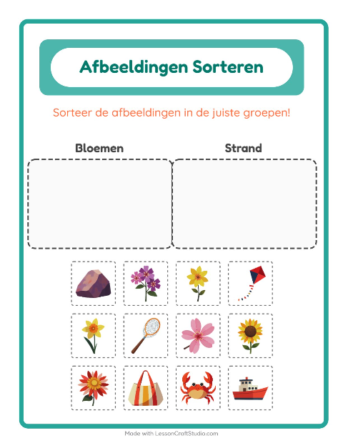 Plaatjes sorteren: Bloemen en Strand