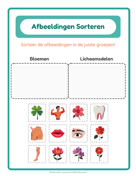 Plaatjes sorteren: Bloemen en Lichaamsdelen