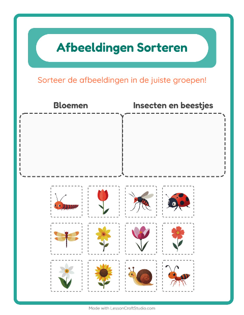 Plaatjes sorteren: Bloemen en Insecten en beestjes