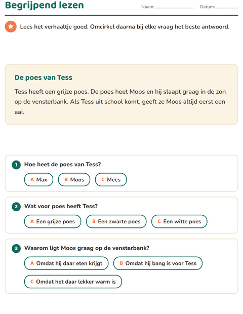 Voorbeeld van het Begrijpend lezen-werkblad voor groep 4