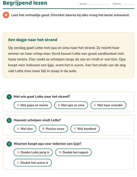 Voorbeeld van het Begrijpend lezen-werkblad voor groep 4