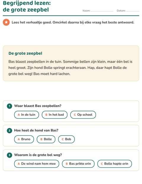 Voorbeeld van het Begrijpend lezen-werkblad voor groep 4