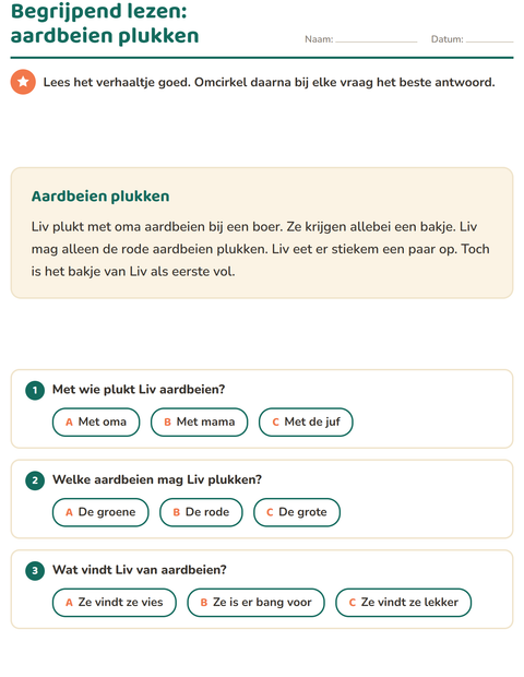 Voorbeeld van het Begrijpend lezen-werkblad voor groep 4