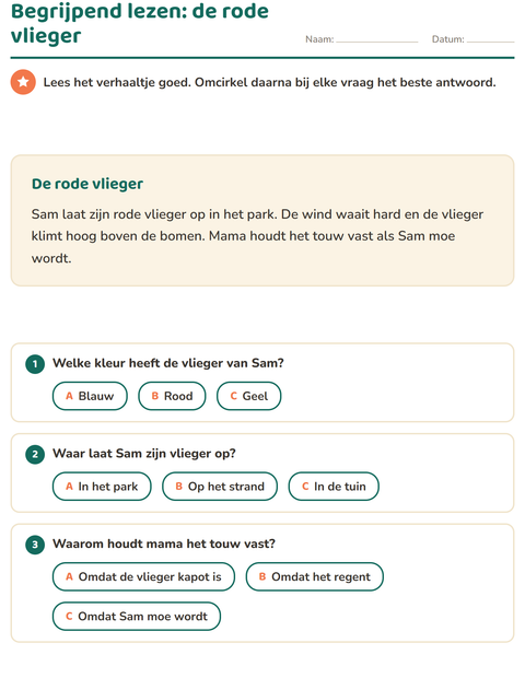Begrijpend lezen: de rode vlieger