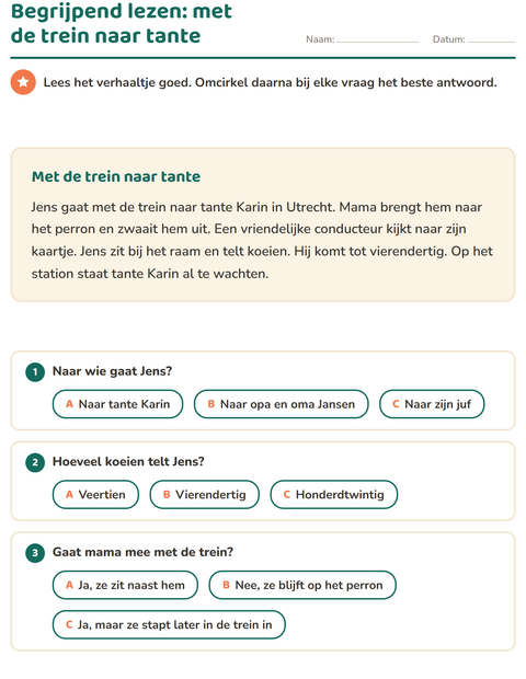 Voorbeeld van het Begrijpend lezen-werkblad voor groep 4