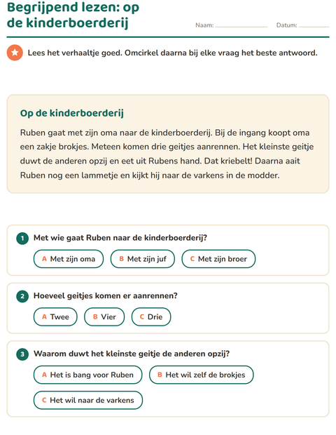 Voorbeeld van het Begrijpend lezen-werkblad voor groep 4