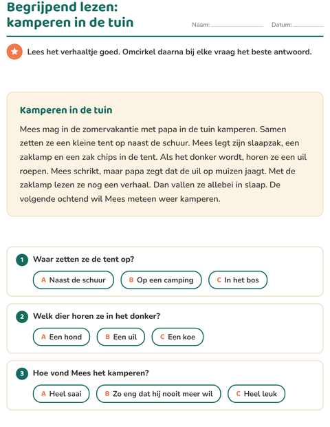 Voorbeeld van het Begrijpend lezen-werkblad voor groep 4