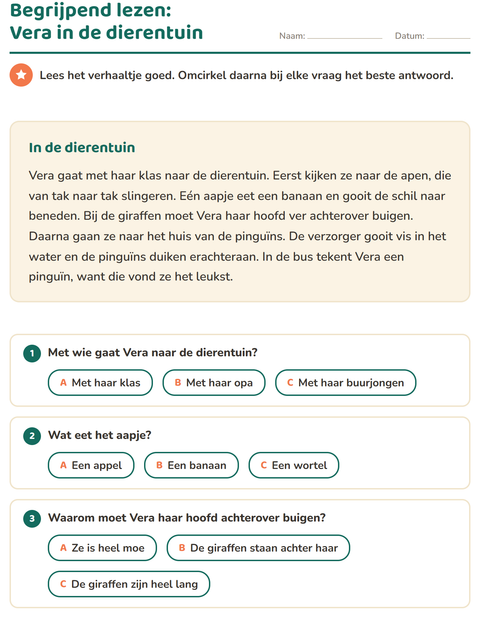 Voorbeeld van het Begrijpend lezen-werkblad voor groep 4