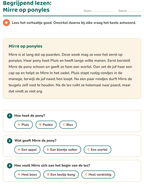 Voorbeeld van het Begrijpend lezen-werkblad voor groep 4