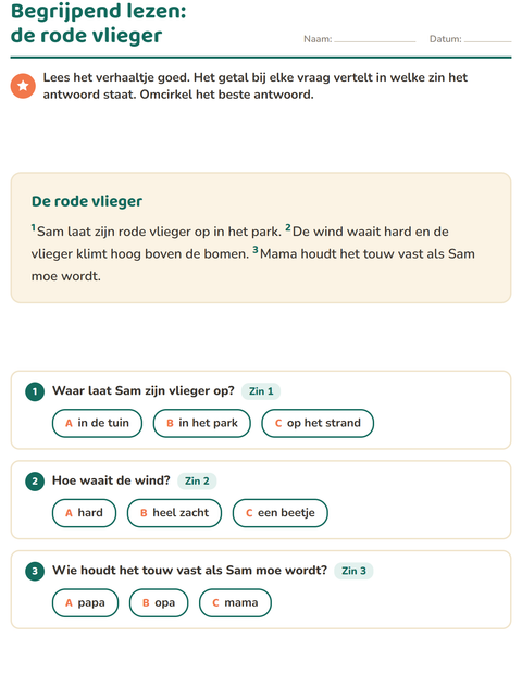 Voorbeeld van het Begrijpend lezen-werkblad voor groep 4